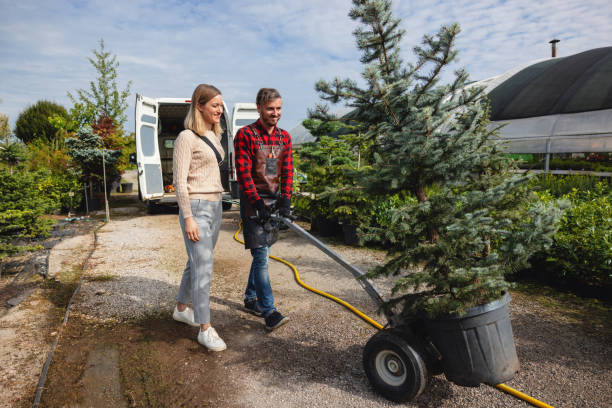 Best Organic Lawn Care Solutions  in Danville, VA